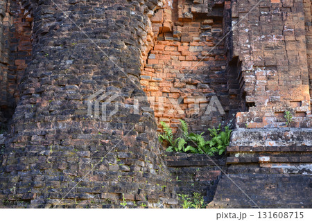Tropical plant on the brickwork of ancient sacred Cham Tower of the 12th century Tuy Hoa, Vietnam 131608715