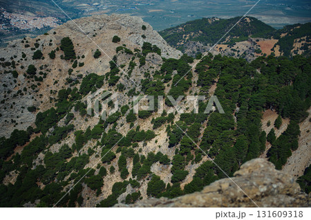 Mountain Ridge With Pine Trees And Rocky Slope - Scenic Landscape For Nature, Outdoor Adventure, And Travel Photos 131609318