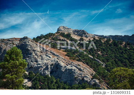 Sunlit Mountain Ridge With Pine Trees Under Clear Blue Sky - Scenic Outdoor Landscape for Nature, Travel, and Adventure Sunlit Mountain Ridge With Pine Trees Under Clear Blue Sky - Scenic Outdoor Landscape for Nature, Travel, and Adventure 131609331