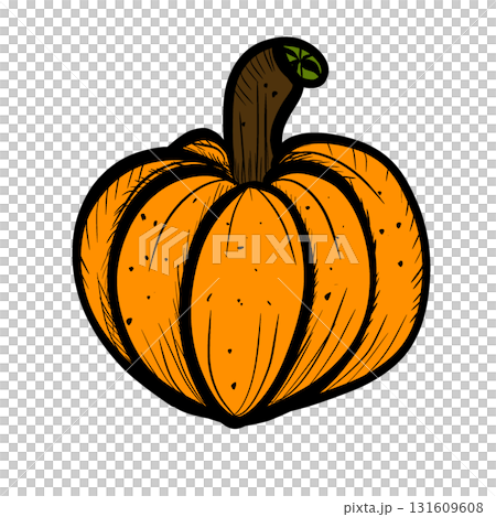 illustration of pumpkin 131609608