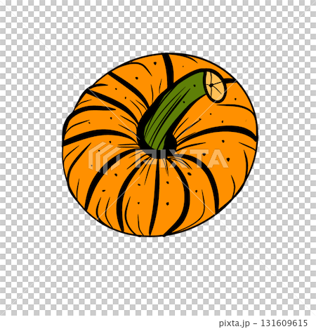 Hand Drawn Graphic Pumpkin Illustration, Halloween and Thanksgiving Art 131609615