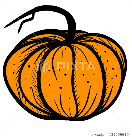 Hand Drawn Graphic Pumpkin Illustration, Halloween and Thanksgiving Art 131609619
