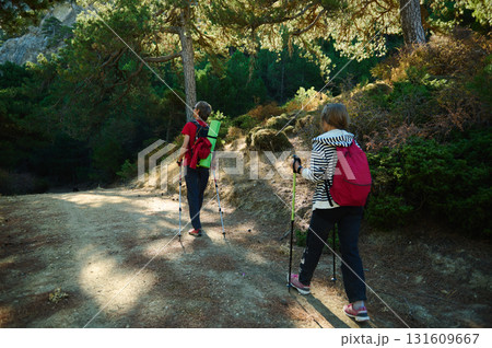Two Hikers With Backpacks Trek Through Forest Trail On a Sunny Day 131609667