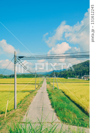 田舎の景色【大町市】 131612245