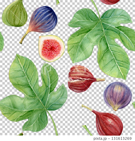 Figs and fig leaves watercolor seamless pattern. Hand-painted botanical illustration isolated on white. Perfect for food packaging, kitchen prints, cards, invitations, organic branding, natural design 131613269