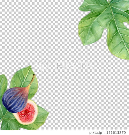 Figs and fig leaves watercolor square frame. Hand-painted botanical illustration isolated on white. Perfect for food packaging, kitchen prints, cards, invitations, organic branding, natural design Figs and fig leaves watercolor square frame. Hand-painted botanical illustration isolated on white. Perfect for food packaging, kitchen prints, cards, invitations, organic branding, natural design 131613270