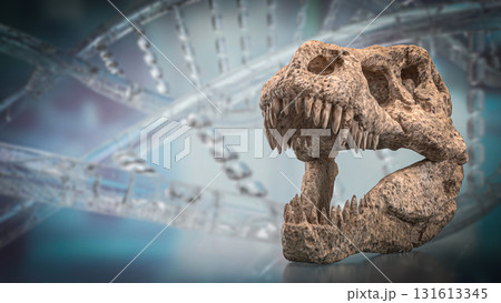 The T rex Skull for Education Or sci concept 3d Rendering. 131613345