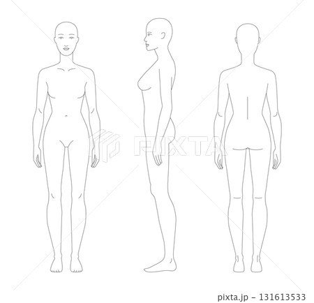 Vector illustration of a 7 head woman, displaying multiple angles including front, side, and back. Perfect for fashion 131613533