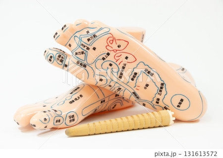 足つぼ 足裏 模型 131613572