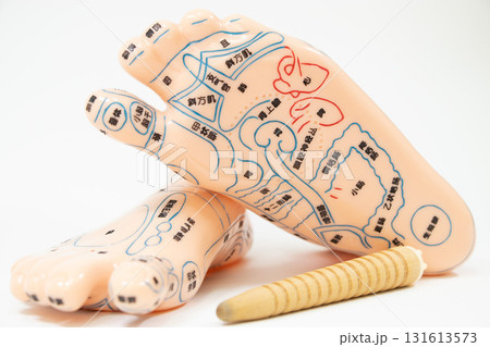 足つぼ 足裏 模型 足つぼ 足裏 模型 131613573