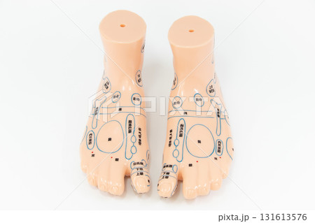 足つぼ 模型 足つぼ 模型 131613576