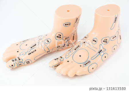 足つぼ 模型 131613580