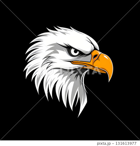 eagle nature bald animal portrait headshot head vector eagle nature bald animal portrait headshot head vector 131613977