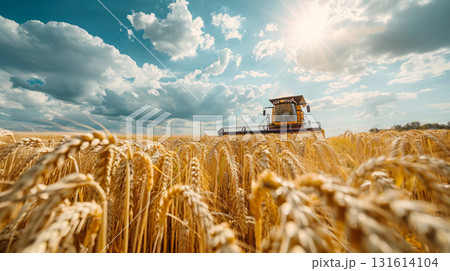 wheat machine harvester combine field land food crop wheat machine harvester combine field land food crop 131614104