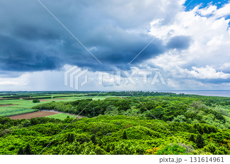 南国の雨と晴れ空の境目 131614961