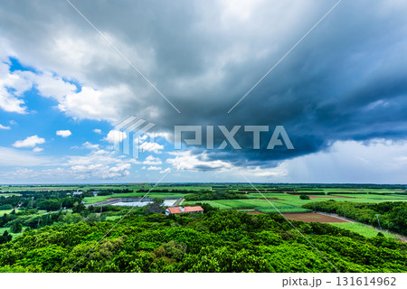 南国の雨と晴れ空の境目 131614962