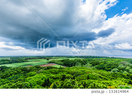 南国の雨と晴れ空の境目 131614964