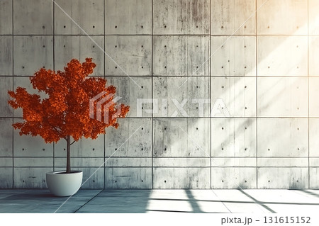 Orange Tree in Modern Pot Against Concrete Wall with Sunlight and Shadow Play 131615152