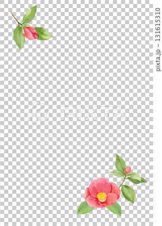 山茶花冬季明信片 131615310