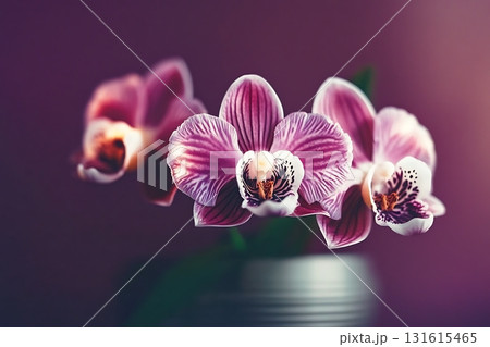 Soft Focus Orchid Blooms with Colorful Bokeh Lights for Elegant Home Decor Photography 131615465