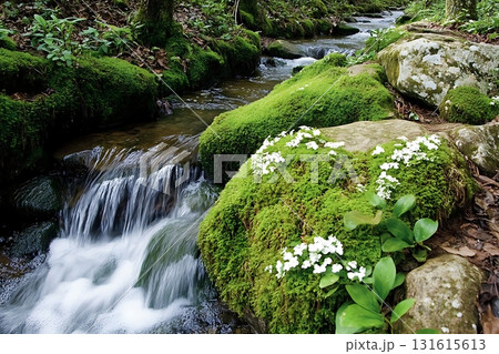 Tranquil Stream Flowing Over Rocks Surrounded by Lush Greenery and Wildflowers in Nature 131615613