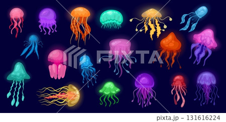 Glowing jellyfish. Cartoon medusa, neon jelly fish sea deep fantasy creature magic exotic underwater animal ocean beautiful marine fauna aquatic life, kicky vector illustration Glowing jellyfish. Cartoon medusa, neon jelly fish sea deep fantasy creature magic exotic underwater animal ocean beautiful marine fauna aquatic life, kicky vector illustration 131616224
