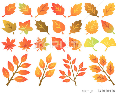 色々な秋の紅葉と枝のイラストセット 131616410