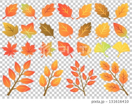 色々な秋の紅葉と枝のイラストセット 131616410