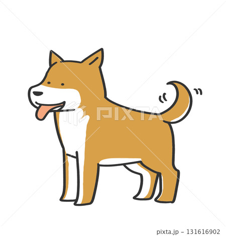 笑顔の柴犬 131616902
