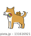 ハロウィンのアイテムと柴犬 131616921