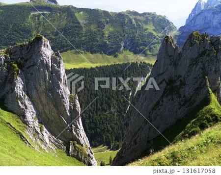 Stunning mountain landscape with rocky cliffs and dense forest in the summer sun Stunning mountain landscape with rocky cliffs and dense forest in the summer sun 131617058