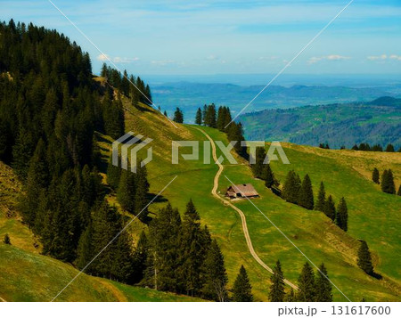 Lush green hillside with a winding path leading to a rustic cabin surrounded by trees on a sunny day 131617600