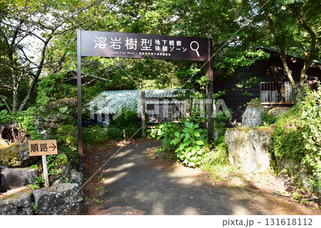 山中湖花の都公園 清流の里散策路と溶岩樹型地下観察体験ゾーン入口 山中湖花の都公園 清流の里散策路と溶岩樹型地下観察体験ゾーン入口 131618112