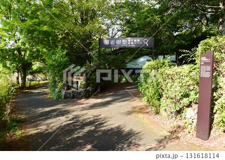 山中湖花の都公園 清流の里散策路と溶岩樹型地下観察体験ゾーン入口 山中湖花の都公園 清流の里散策路と溶岩樹型地下観察体験ゾーン入口 131618114