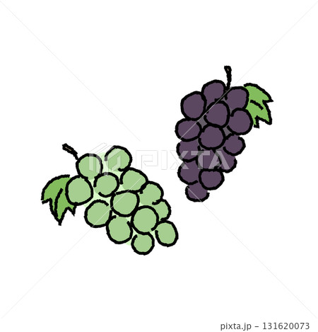 巨峰とシャインマスカットのカラーイラスト素材 巨峰とシャインマスカットのカラーイラスト素材 131620073