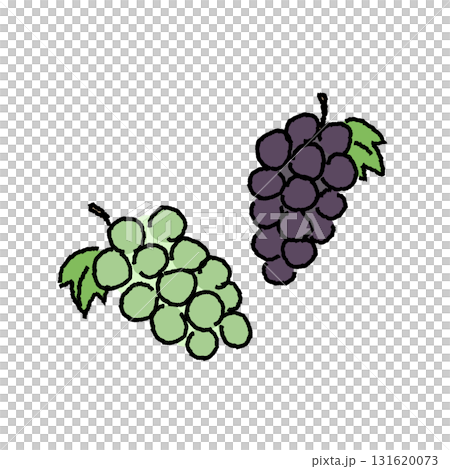 巨峰とシャインマスカットのカラーイラスト素材 巨峰とシャインマスカットのカラーイラスト素材 131620073