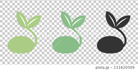 芽が出た種子のフラットイラストセット|優しい緑・濃い緑・黒・エコ・オーガニック 芽が出た種子のフラットイラストセット|優しい緑・濃い緑・黒・エコ・オーガニック 131620309