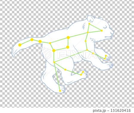 おおぐま座のカラー線画イラスト 131620418