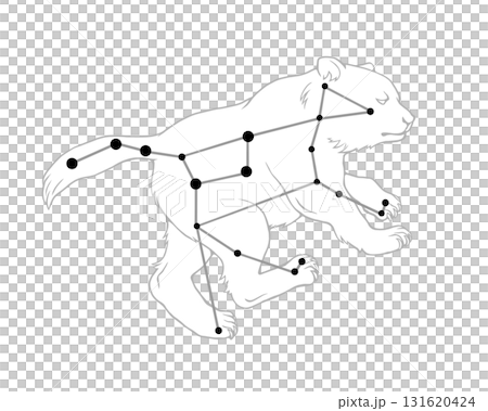 おおぐま座のモノクロ線画イラスト 131620424