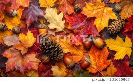 Close-up macro of brown acorns and nuts nestled among vibrant autumn leaves on the ground, hinting at the fall season's natureal sweetness 131620967