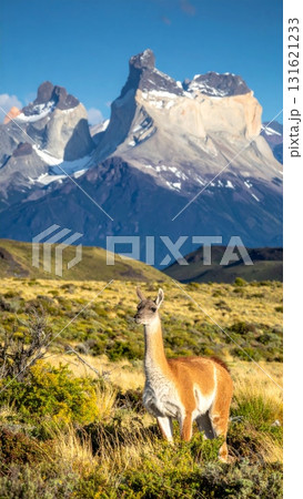 Mountain wildlife landscape featuring a brown deer and other wild mammals grazing on grass in the Andes nature 131621233