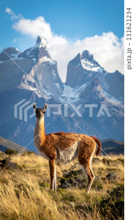 Mountain wildlife landscape featuring a brown deer and other wild mammals grazing on grass in the Andes nature Mountain wildlife landscape featuring a brown deer and other wild mammals grazing on grass in the Andes nature 131621234