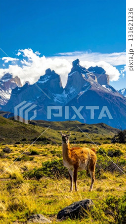 Mountain wildlife landscape featuring a brown deer and other wild mammals grazing on grass in the Andes nature Mountain wildlife landscape featuring a brown deer and other wild mammals grazing on grass in the Andes nature 131621236
