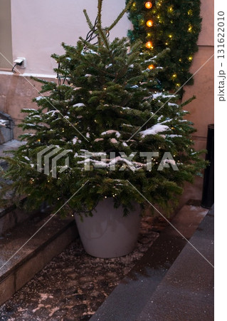 A Festive Christmas Tree in a Decorative Pot 131622010