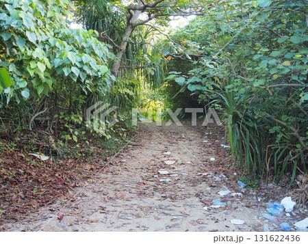 新城海岸へ続く小道 Pathway to Aragusuku Beach, Miyako Islan 新城海岸へ続く小道 Pathway to Aragusuku Beach, Miyako Islan 131622436