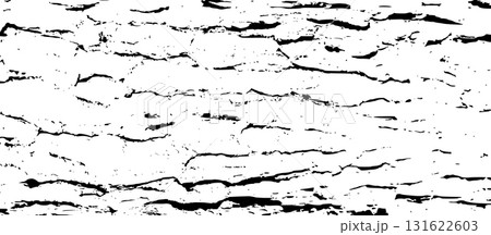 Tree bark texture 131622603