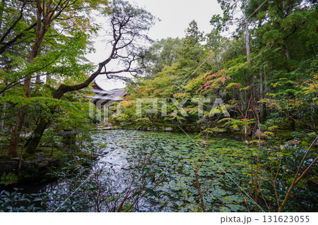 池のある京都の寺院の庭園風景 池のある京都の寺院の庭園風景 131623055