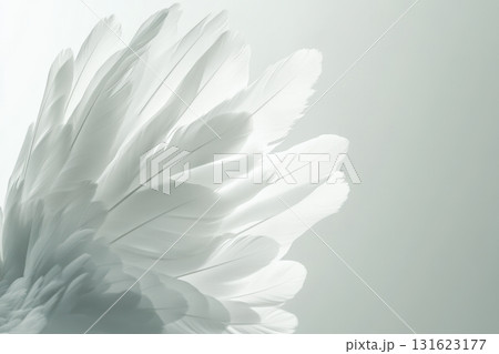 Delicate white feathers softly layered against a pale background 131623177