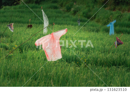 Colorful Shirts Hanging in Green Rice Field with Lush Vegetation and Rural Landscape Creating a Vibrant and Scenic View of Nature's Beauty Colorful Shirts Hanging in Green Rice Field with Lush Vegetation and Rural Landscape Creating a Vibrant and Scenic View of Nature's Beauty 131623510