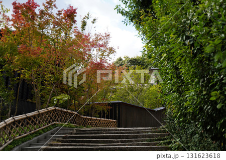 秋の気配が漂う京都の寺院の境内 131623618